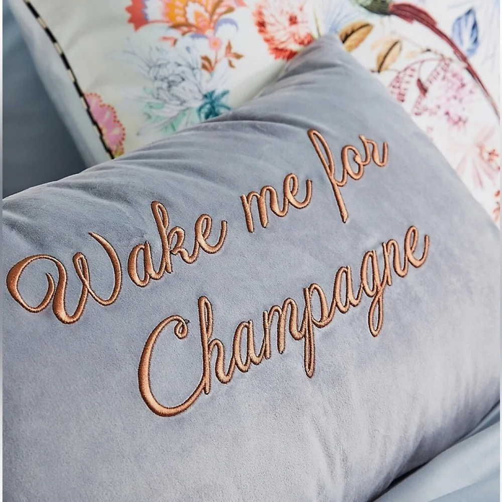 Ted Baker Wake Me For Champagne Grey Velvet Pillow | NWT